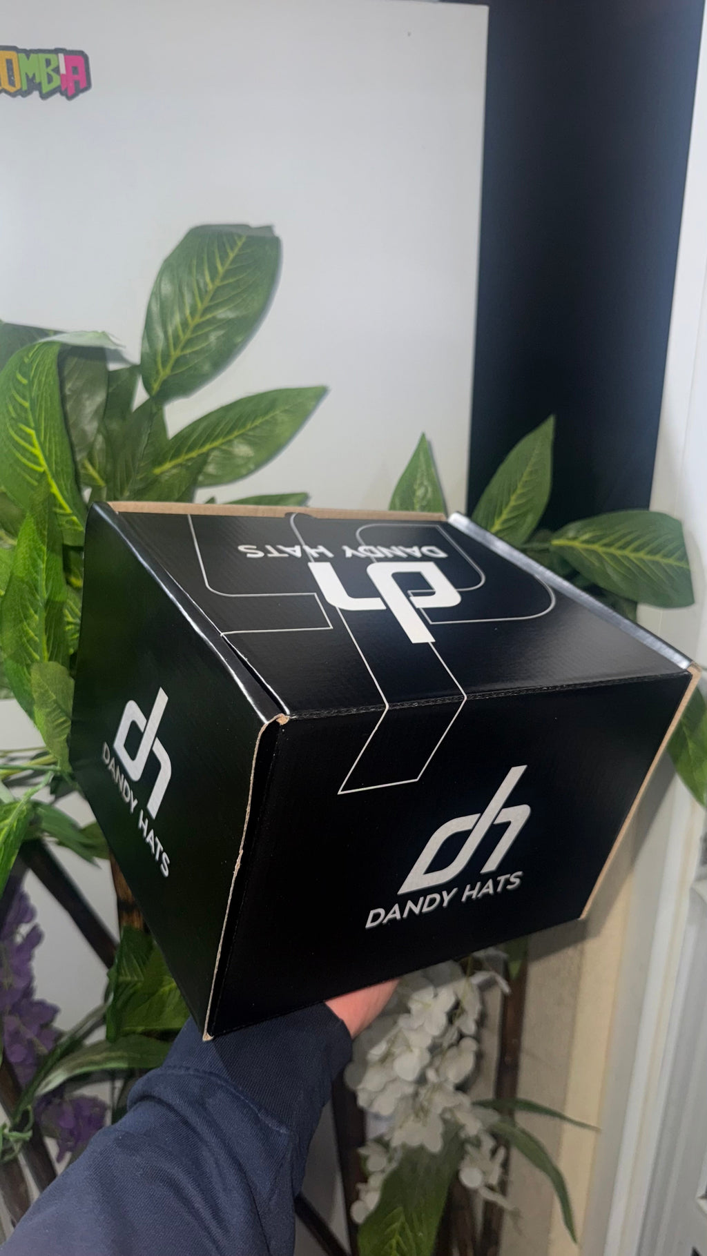 Caja Full Set “Dandy Hats"