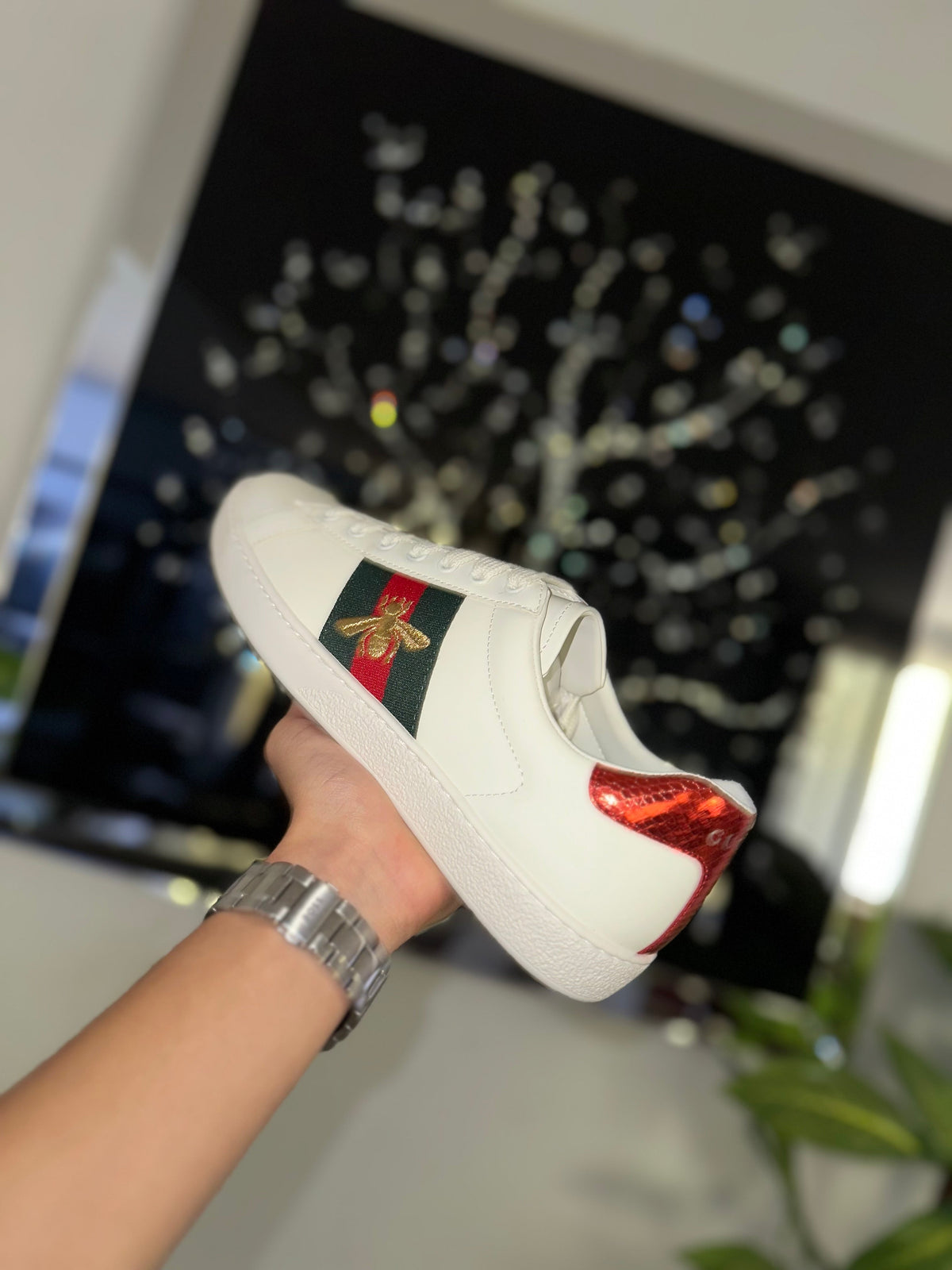 Gucci Ace